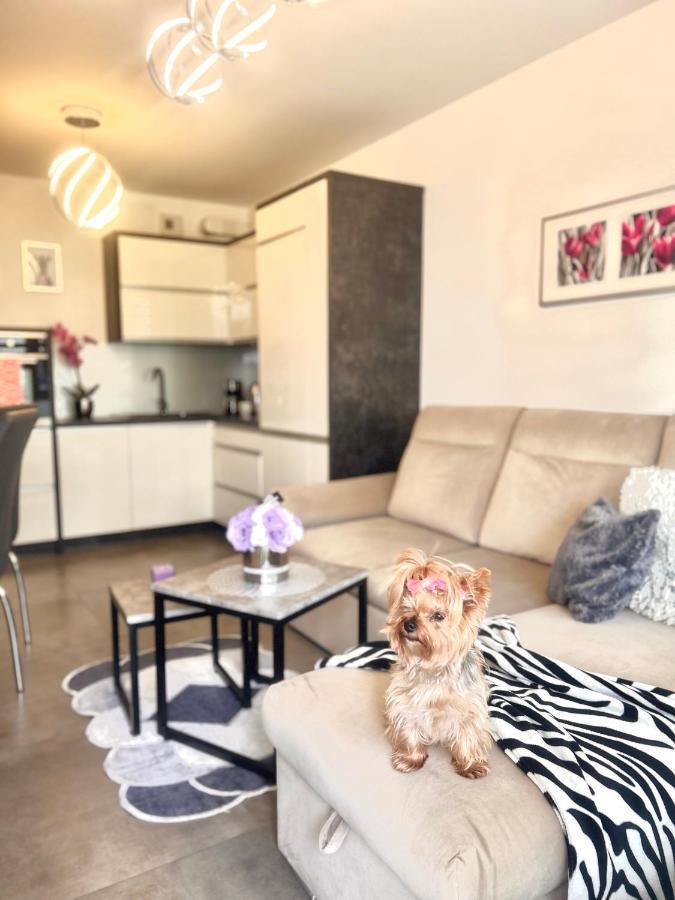 ז'שוב Downtownapartments Andy Air-Conditioned, Underground Parking Available מראה חיצוני תמונה